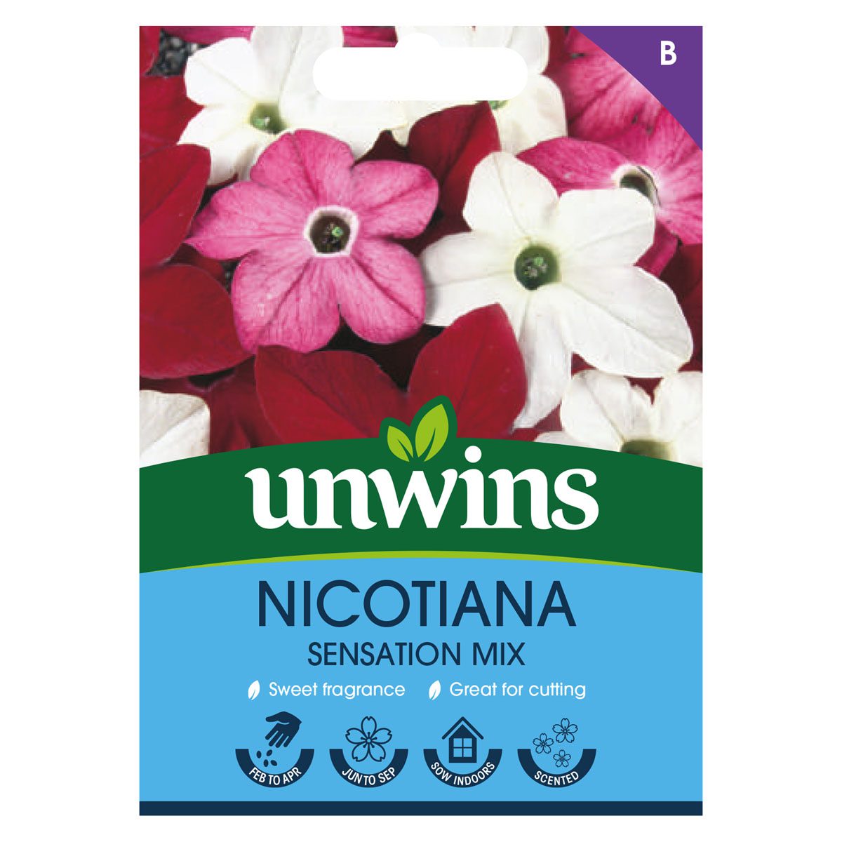 5051618011785 1 Nicotiana Sensation Mix Seeds.jpg